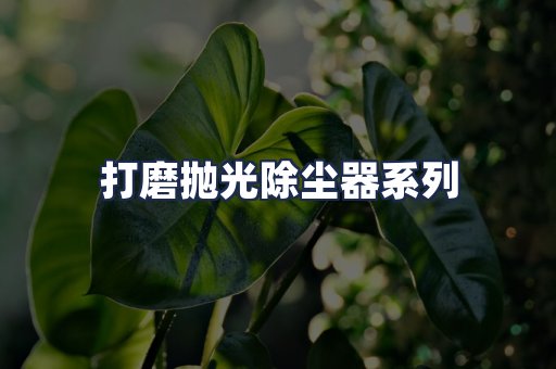 打磨抛光除尘器系列