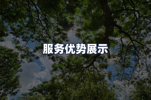 服务优势展示